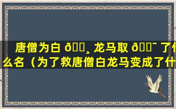 唐僧为白 🕸 龙马取 🐯 了什么名（为了救唐僧白龙马变成了什么）